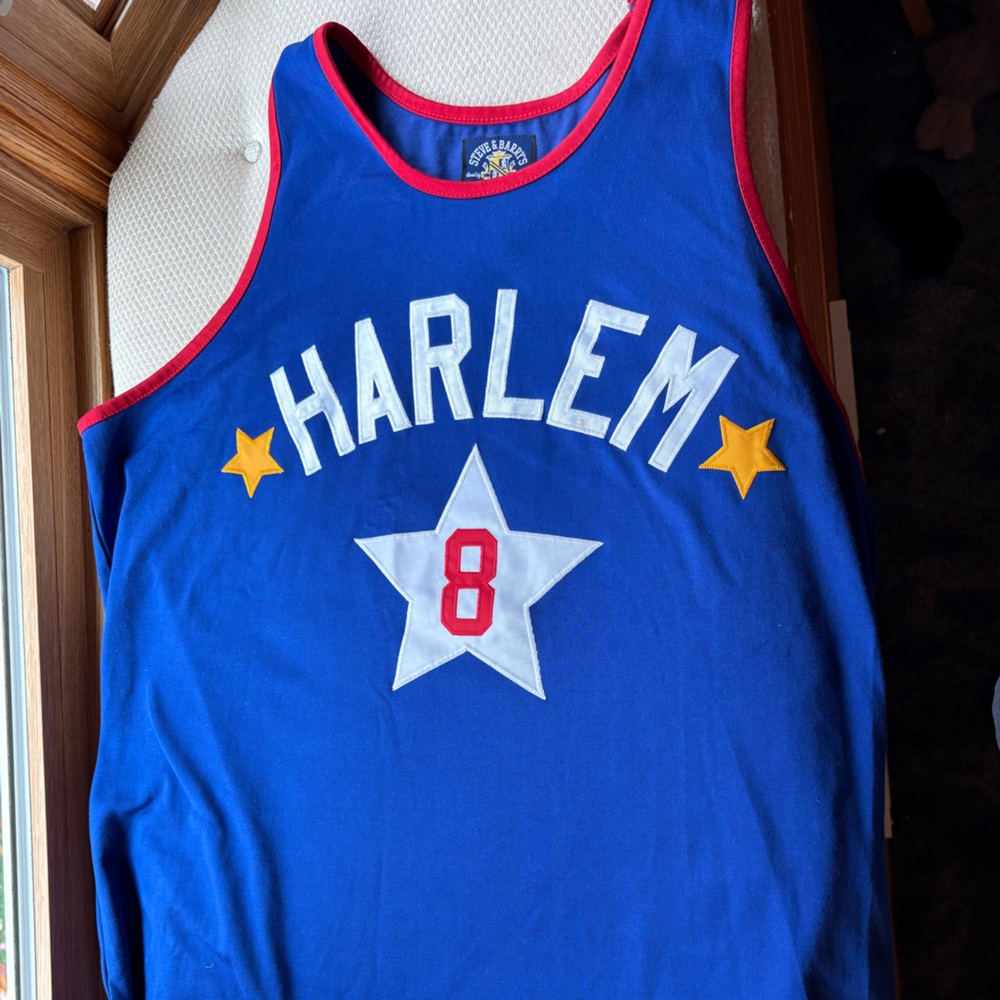 Steve & Barry's Blue and Red Jersey